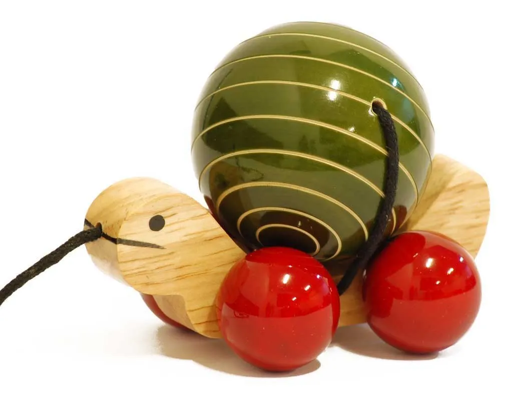 Tuttu green toy
