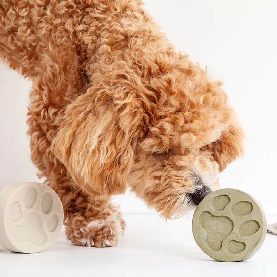 KIND2 doggy shampoo